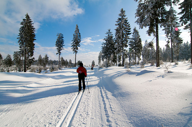 Bayerischer Wald