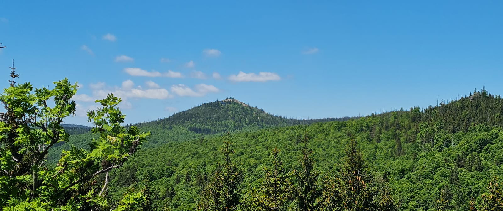 Bayerischer Wald