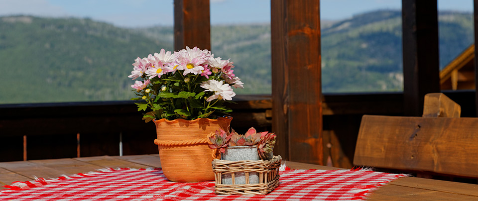 Ferienhaus am Nationalpark Bayerischer Wald
