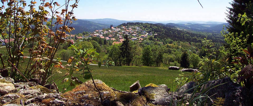 Bayerischer Wald